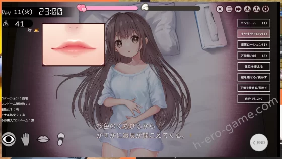 [PICOPICOSOFT] ふたりぐらし